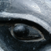 sites/all/themes/analyticly/images/galerias/exposiciones/fragmentos/41.png