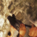 sites/all/themes/analyticly/images/galerias/exposiciones/rejas/010.png