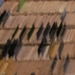 sites/all/themes/analyticly/images/galerias/exposiciones/rejas/027.png